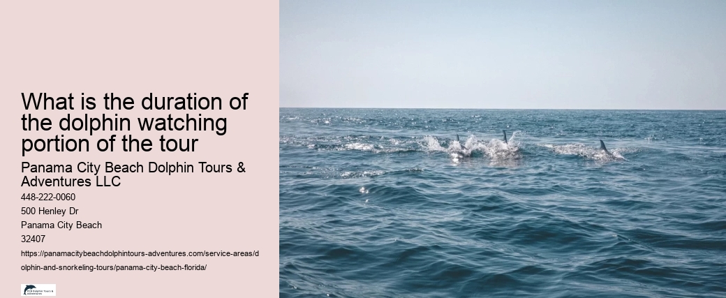 What is the duration of the dolphin watching portion of the tour