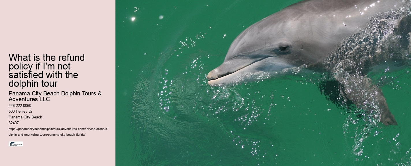 PCB Dolphin Exploration Experiences