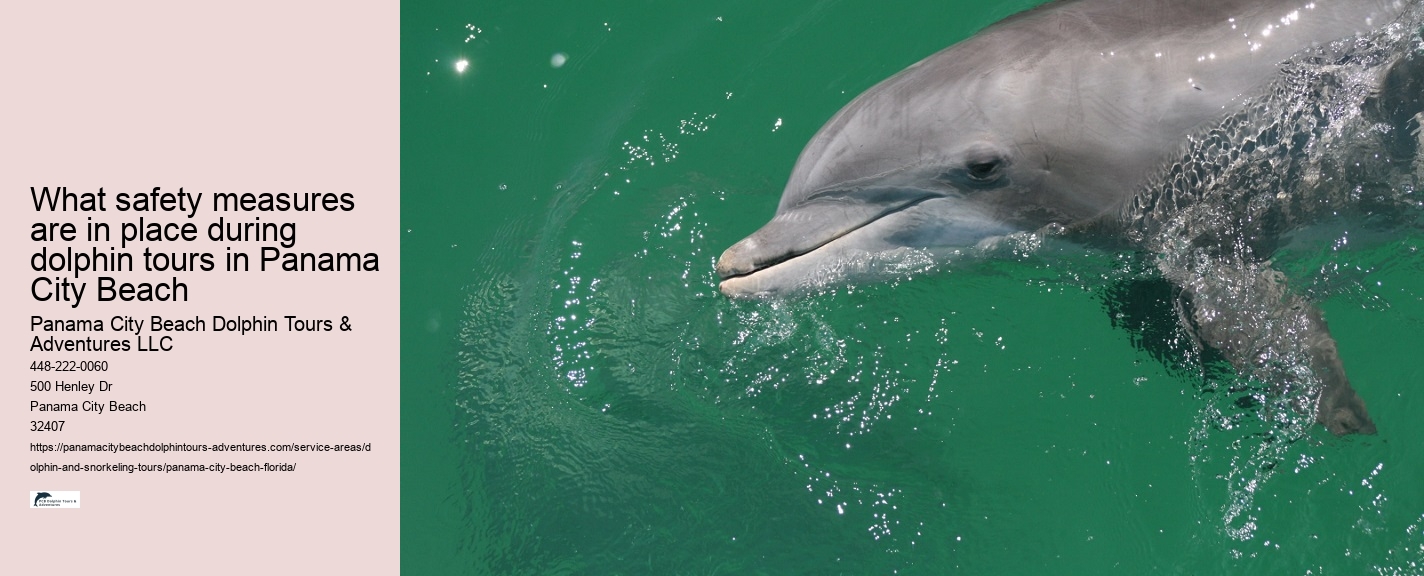 Panama City Beach dolphin boat trips