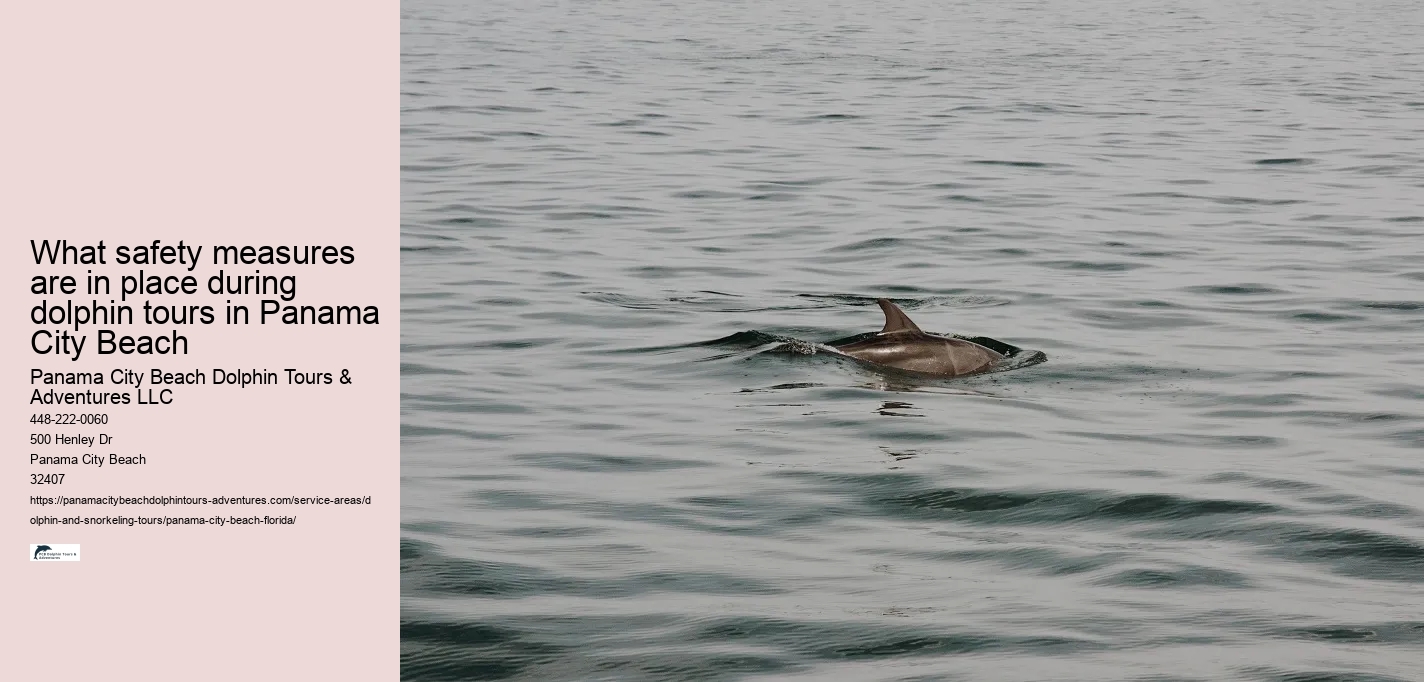 What safety measures are in place during dolphin tours in Panama City Beach